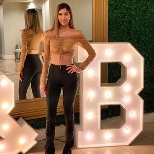 See through brownesh top